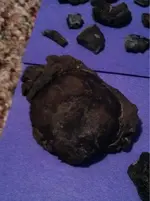image-4106096797.webp