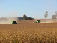 soybean harvesting.webp