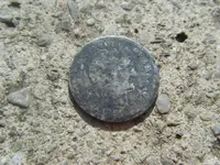 2009_0927stainwalnut0010.webp