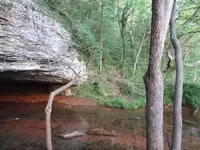 DSCF3143.webp