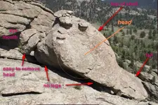 headface.webp