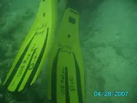 diving 003.webp