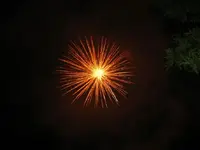 IMG_0377_1_1.webp