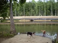 River1.webp River1.webp