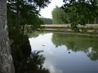 River2.webp River2.webp