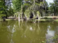 River3.webp