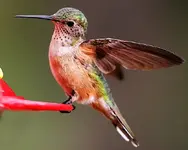 _MG_3916-web.webp