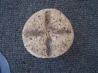 bowl1.webp