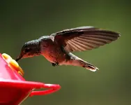 _MG_3114-small.webp