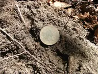 LibertyCapHalfCent.webp