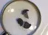 crumbled cookie.webp