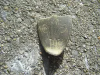 2009_1002stainwalnut0007.webp