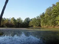003.webp