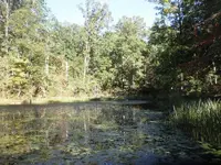 001.webp