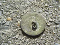 2009_1002stainwalnut0012.webp