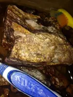 image-1800170754.webp