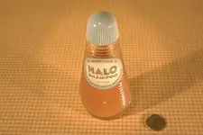 halo.webp