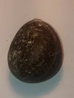 rock back.webp