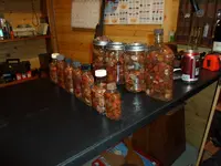 SAM_0302.webp