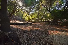 DSC_2813brionesparksmsz.webp