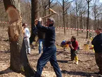 image-1472278214.webp