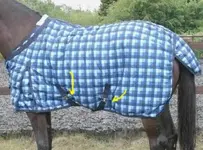 HorseBlanket1.webp
