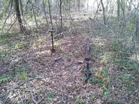 20131109_114645.webp