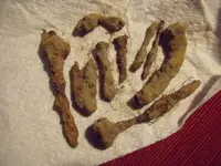 DSCF2825.webp