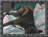 morning-breath-dog-framed.webp