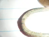 DSCF2964.webp
