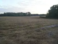 DSCF2953.webp