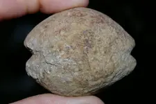 IMGP3880.webp