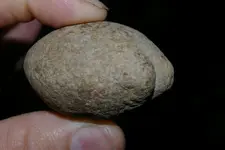 IMGP3882.webp