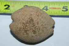 IMGP3888.webp