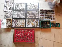 DSCN3513.webp