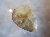 DSCN3533.webp