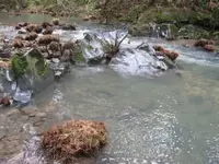 Winter 2012 (7).webp