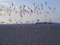 KIMG0064.webp