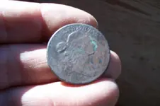 1800 draped bust.webp