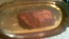 100_0423.webp