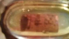 100_0424.webp