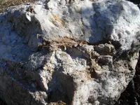 white quartz 003.webp