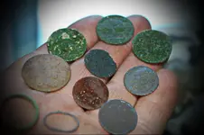 Micro Hunting (5).webp