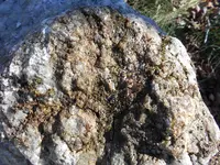 white quartz 005.webp