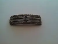Reed.webp