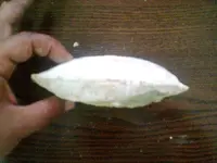 Vault-inoceramus2.webp
