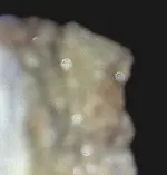 rock1LGcrop.webp