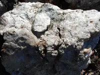 white quartz 006.webp