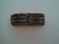 Reed (2).webp