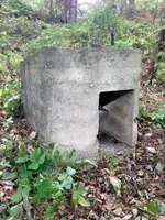 photo3.webp